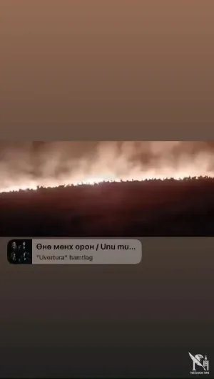 Иргэн: Нөмрөгийн дархан цаазат газарт гарсан түймрээс амь тэмцэн зугатаж яваа цагаан зээрийн сүрэг зүрх шимширмээр…