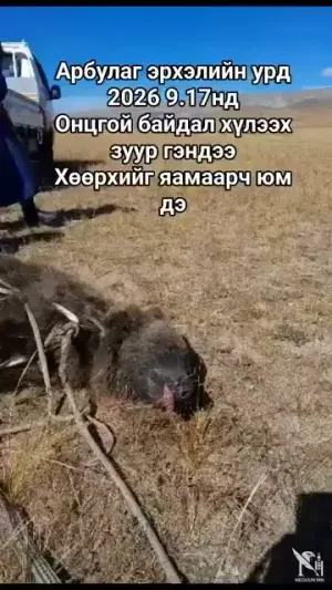 🔴ИРГЭНИЙ БИЧЛЭГ:БОЛГООМЖ ИЛҮҮДЭХГҮЙ ЮМ