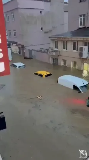 Истанбул хотод үерийн улмаас гурван хүн амиа алджээ
