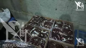 "ЭКО ФҮҮД" ХХК ӨМХИЙРЧ МУУДСАН МАХАА БОДИС ШҮРШИН НИЙСЛЭЛ РҮҮ ТЭЭВЭРЛЭДЭГ  БАЙНА