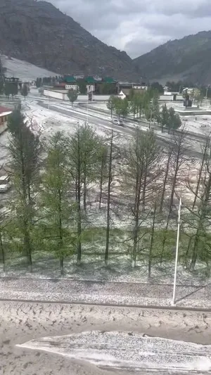АРХАНГАЙ АЙМАГТ ИХ ХЭМЖЭЭНИЙ МӨНДӨР, ӨВӨРХАНГАЙ ОРЧМООР УСАРХАГ БОРОО ОРЖЭЭ
