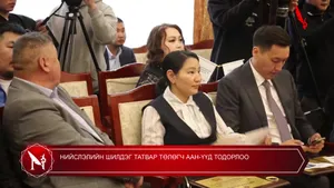 НИЙСЛЭЛИЙН ШИЛДЭГ ТАТВАР ТӨЛӨГЧ ААН-ҮҮД ТОДОРЛОО