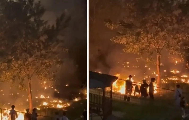 НИЙСЛЭЛИЙН ХЭМЖЭЭНД СҮҮЛИЙН 2 ХОНОГТ БҮРТГЭГДСЭН ГАЛ ТҮЙМРИЙН 40 ДУУДЛАГААС 31 НЬ МОДНЫ ХӨВӨН ШАТСАН ГЭХ ДУУДЛАГА МЭДЭЭЛЭЛ БАЙНА
