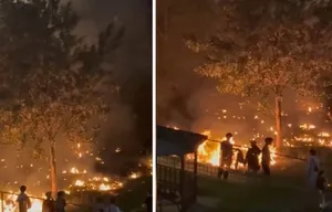 НИЙСЛЭЛИЙН ХЭМЖЭЭНД СҮҮЛИЙН 2 ХОНОГТ БҮРТГЭГДСЭН ГАЛ ТҮЙМРИЙН 40 ДУУДЛАГААС 31 НЬ МОДНЫ ХӨВӨН ШАТСАН ГЭХ ДУУДЛАГА МЭДЭЭЛЭЛ БАЙНА