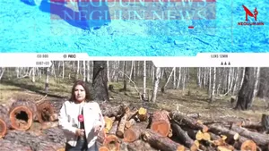NEGUUNNEWS