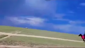 ДОРНОД АЙМГИЙН НААДАМД ТҮРҮҮЛЖ ЯВСАН АЗАРГА ХАДУУРЧ ХҮҮХЭД УНААД ҮЛДЭХЭЭР НЬ УЯАЧ ЗАМААС НЬ БАРЬЖ АВЧ ӨӨРӨӨ УНААД ТҮРҮҮЛЖЭЭ