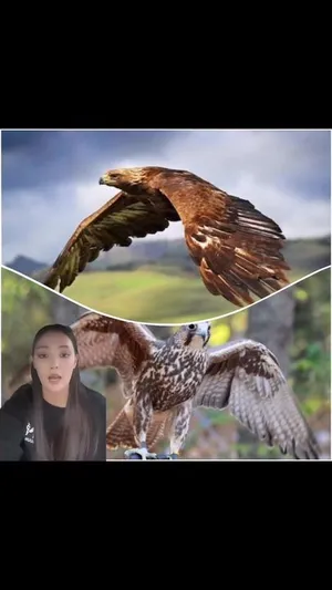Фэйсбүүк пэйжээс үзэх