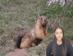 Фэйсбүүк пэйжээс үзэх