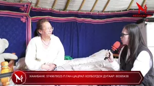 ТАКСИ БАРЬСАН ЭМЭГТЭЙН БИЕД ХАЛДСАН ЖОЛООЧ ЭРХ ЧӨЛӨӨТЭЙ ЯВЖ ХОХИРОГЧ ИРГЭН ХӨГЖЛИЙН БЭРХШЭЭЛТЭЙ БОЛЖЭЭ