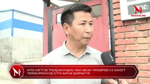 АГРО НЭГТГЭЛ ТРЕЙД:МАЛЧДААС МАЛ АВСАН ТӨЛБӨРӨӨ 3-5 ХОНОГТ ТӨЛНӨ,ИРАНЧУУД ХУТГА БАРЬЖ ДАЙРААГҮЙ