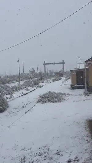 ХАНХ СУМЫН ХИЛИЙН БООМТ ОРЧИМД ЦАС ОРЖЭЭ❄️❄️❄️