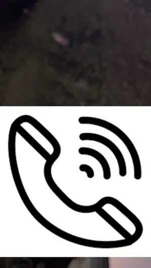 Фэйсбүүк пэйжээс үзэх