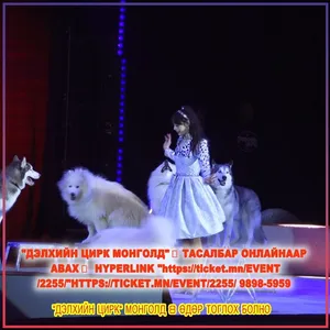 "ДЭЛХИЙН ЦИРК МОНГОЛД"  ТАСАЛБАР ОНЛАЙНААР АВАХ  HTTPS://TICKET.MN/EVENT/2255/ 9898-5959