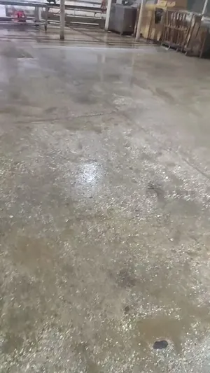 ШУУД