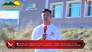 � "БАЯН-УУЛ" АМРАЛТЫН ГАЗАРТ ХУЛГАНА , ЖООМ ҮҮРЛЭСЭН БА УСТГАЛ ЯВУУЛЖ АРГА ХЭМЖЭЭ АВАХГҮЙ БАЙГААД НЬ АМРАГЧИД БУХИМДАЛТАЙ БАЙВ