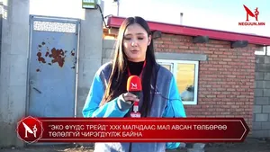 ‘’ЭКО ФҮҮДС ТРЕЙД’’ ХХК МАЛЧДААС МАЛ АВСАН ТӨЛБӨРӨӨ ТӨЛӨЛГҮЙ ЧИРЭГДҮҮЛЖ БАЙНА