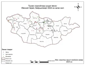 2024 ОНД ШИМЭГЧТЭХ ӨВЧНӨӨР ӨВЧИЛСӨН МАЛ, АМЬТНЫГ БҮСЧЛЭХЭД