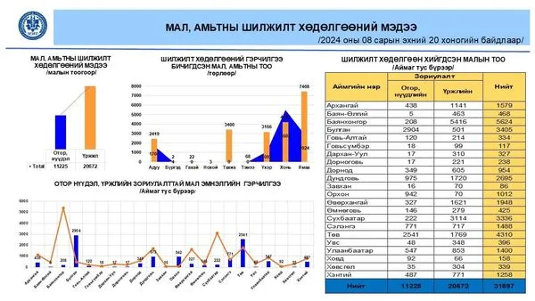 МАЛ, АМЬТНЫ ШИЛЖИЛТ ХӨДӨЛГӨӨНИЙ ХЯНАЛТЫГ САЙЖРУУЛАН АЖИЛЛАХ ҮҮРЭГ, ЧИГЛЭЛ ХҮРГҮҮЛЛЭЭ.