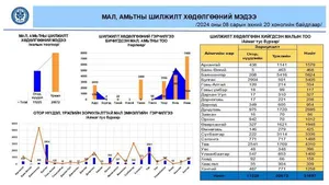 МАЛ, АМЬТНЫ ШИЛЖИЛТ ХӨДӨЛГӨӨНИЙ ХЯНАЛТЫГ САЙЖРУУЛАН АЖИЛЛАХ ҮҮРЭГ, ЧИГЛЭЛ ХҮРГҮҮЛЛЭЭ.