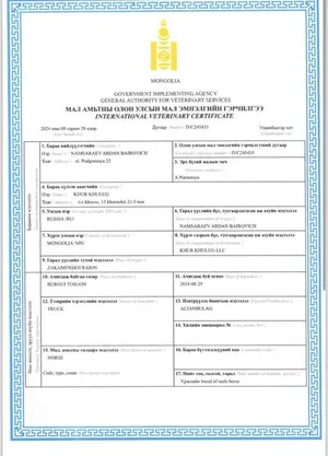 МАЛ ЭМНЭЛГИЙН ИМПОРТЫН МАЛ ЭМНЭЛГИЙН ОЛОН УЛСЫН ГЭРЧИЛГЭЭ (ЭХНИЙ ХАГАС ЖИЛЭЭР)