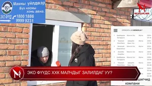 ЭКО ФҮҮДС ХХК МАЛЧДЫГ ЗАЛИЛДАГ УУ?