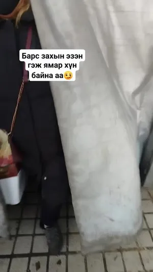 ИРГЭН: АРАЙ ДЭНДҮҮ ЮМ.БАРС ЗАХ РУУ ОЧООД, ҮҮДНЭЭС НЬ ӨВЧИН АВААД БУЦАХААР БАЙНА. ХҮНД, ХИРТЭЙ ГУДАС ШИГ ЮМ ХААЛГА БОЛГОНДОО УНЖУУЛЧИХСАН.ОРЖ ГАРАХАД ХУВЦСАНДАА ХИР АРЧСААР ТААРАХ ЮМ