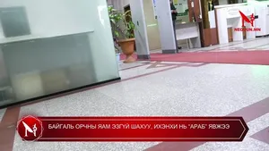 БАЙГАЛЬ ОРЧНЫ ЯАМ ЭЗГҮЙ ШАХУУ, ИХЭНХИ НЬ “АРАБ” ЯВЖЭЭ