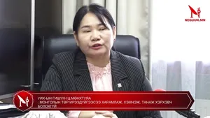 УИХ-ЫН ГИШҮҮН Ц.МӨНХТУЯА : МОНГОЛЫН ТӨР ИРЭЭДҮЙГЭЭСЭЭ ХАРАМЛАЖ, ХЭМНЭЖ, ТАНАЖ ХЭРХЭВЧ БОЛОХГҮЙ