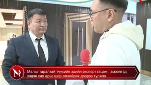 Малыг гаралтай түүхийн эдийн экспорт гацаж , эмээлтэд хэдэн сая арьс шир өмхийрөх дээрээ тулжээ