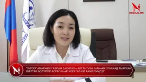 "ХҮРЭЭ" АМАРЖИХ ГАЗРЫН ЗАХИРАЛ н.АЛТАНТУЯА: МАНАЙХ УГААХАД АМАРХАН ШАЛТАЙ БОЛХООР АСРАГЧ НАР ХОЁР ХҮНИЙ АЖИЛ ХИЙДЭГ