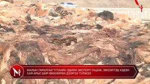 МАЛЫН ГАРАЛТАЙ ТҮҮХИЙН ЭДИЙН ЭКСПОРТ ГАЦАЖ, ЭМЭЭЛТЭД ХЭДЭН САЯ АРЬС ШИР ӨМХИЙРӨХ ДЭЭРЭЭ ТУЛЖЭЭ