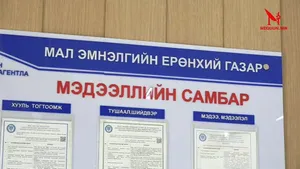 МАЛ ЭМНЭЛГИЙН ЕРӨНХИЙ ГАЗРААС ШУУД: МОНГОЛЧУУДЫН ХҮНСНИЙ АЮУЛГҮЙ БАЙДАЛД ХЭН Ч ХЯНАЛТ ТАВЬДАГГҮЙ ЮУ ‼️