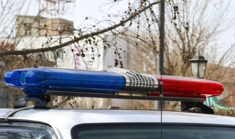 ХООЛОЙГ НЬ БООЖ, ГАР УТСЫГ НЬ ДЭЭРЭМДЖЭЭ