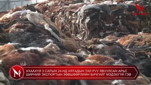 ТЭГВЭЛ ОЛОН САР ГАЦСАН ХОХИРЛЫН АРД ОЛОН АЖ АХУЙ НЭГЖ, АЖИЛТНЫ ЭРХ АШИГ ХӨНДӨГДӨЖ ХОХИРСОН ТЭГВЭЛ н.БАТСҮХ ДАРГАД ХЭН ХАРИУЦЛАГА ТООЦОХ ВЭ