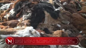 ТЭГВЭЛ ОЛОН САР ГАЦСАН ХОХИРЛЫН АРД ОЛОН АЖ АХУЙ НЭГЖ, АЖИЛТНЫ ЭРХ АШИГ ХӨНДӨГДӨЖ ХОХИРСОН ТЭГВЭЛ н.БАТСҮХ ДАРГАД ХЭН ХАРИУЦЛАГА ТООЦОХ ВЭ