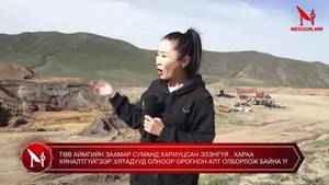 ТӨВ АЙМГИЙН ЗААМАР СУМАНД ХАРИУЦСАН ЭЗЭНГҮЙ , ХАРАА ХЯНАЛТГҮЙГЭЭР ХЯТАДУУД ОЛНООР ОРОГНОН АЛТ ОЛБОРЛОЖ БАЙНА !!!