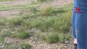 ЭРДЭНЭС ИНЖЕНЕРИНГ ХХК ҮНДСЭН ТАЛБАЙГАА БУСДАД ТҮРЭЭСЛҮҮЛЖ , ХАЙРГА ОЛБОРЛОЛТ НЭРЭЭР ХАЛХАВЧЛАН ХАРАА ХЯНАЛТГҮЙ АЛТ ОЛБОРЛОЖ БАЙНА !!!
