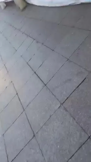 “ТАВАНБОГД” ГРУППИЙН ЗАХИРАЛ Ц.БААТАРСАЙН ХҮҮ Б.АМАРСАЙХАНАА ОРГОН ЗАЙЛСАН АСУУДАЛД ТАЙЛБАР ӨГӨХӨӨС ТАТГАЛЗЛАА