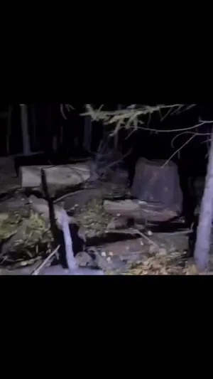 ИРГЭН С.ЭРДЭНЭБАЯР: УНАСАН МОДНУУДЫН ХӨНДИЙГӨӨР ХАЙЖ БАЙНА... ЧОНО ДУУГАРЧ БАЙНА