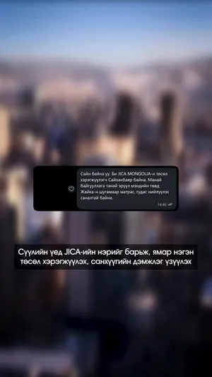 ОЛОН УЛСЫН БАЙГУУЛЛАГЫН НЭРИЙГ АШИГЛАН ХӨРӨНГӨ ОРУУЛАЛТ АВАХ БОЛОМЖТОЙ МЭТЭЭР ЯРЬЖ БУСДЫГ ЗАЛИЛАХ ТОХИОЛДОЛ БҮРТГЭГДЭЖ БАЙНА.
