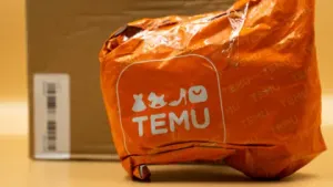 TEMU-ИЙН ХҮҮХДИЙН БАРААНААС ХОРТ ХИМИЙН БОДИС ИЛЭРЧЭЭ